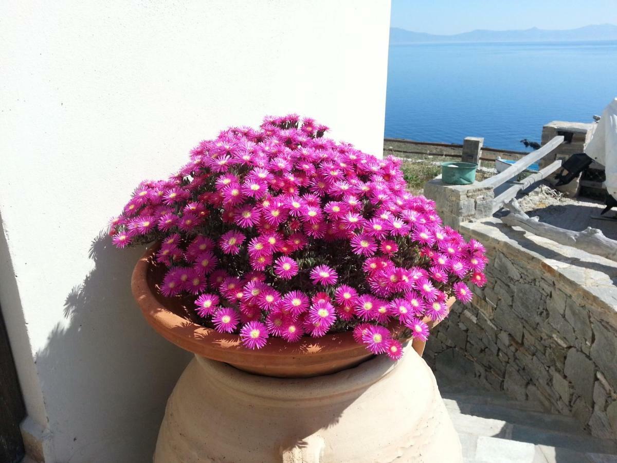 Aegean View - Seaside Apartment In Syros 아졸림노스 외부 사진